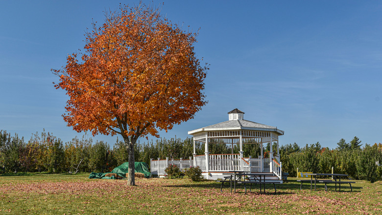 The gazebo at Sholan Farms in Leominster, Massachusetts