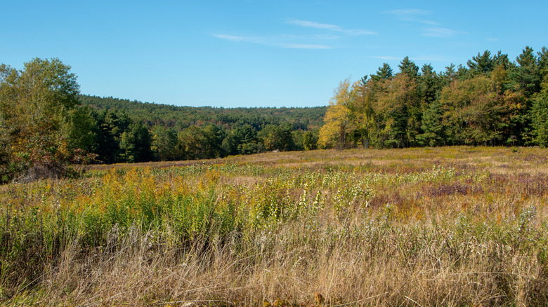 Countryside landscape around Sholan Farms in Leominster, Massachusetts