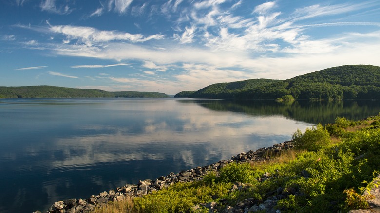 Shores of Quabbin Reservoir morning
