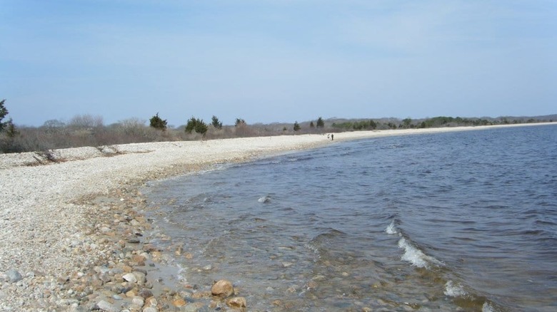 The shore at Demarest Lloyd State Park in Dartmouth, Massachusetts