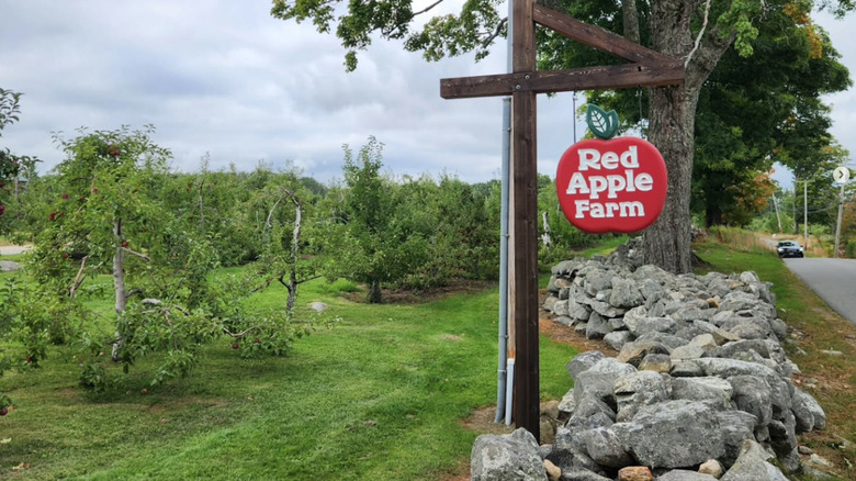 A sign points to Red Apple Orchard in Phillipston, Massachusetts