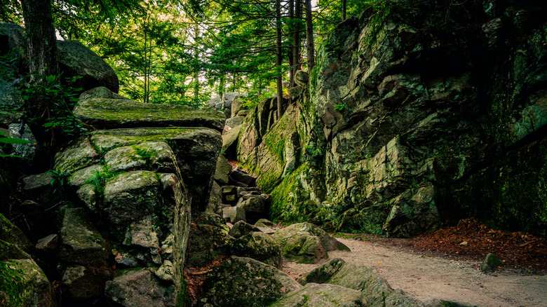 The entrance to Purgatory Chasm with rocks covered in green moss