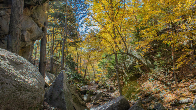 A rocky outcropping in the forest with fall foliage