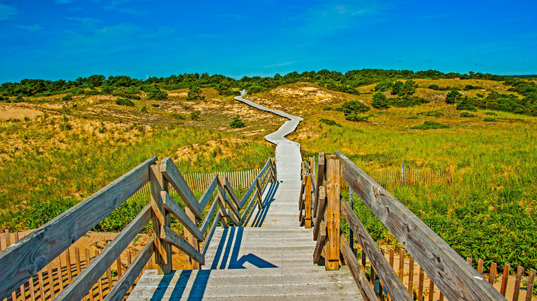 Plum Island boardwalk trail in preserves