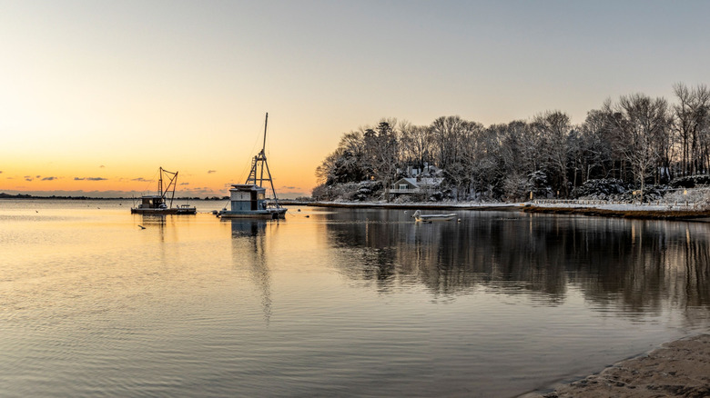 Sunset on beach with work boats and trees