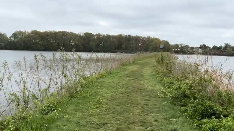 Walking on water on the pathway bisecting Farm Pond