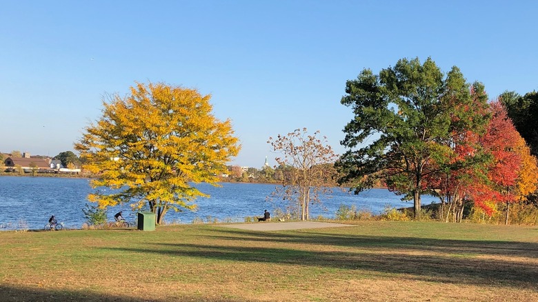 Farm Pond's park's area in the fall