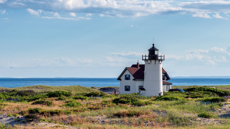 Race Point Lighthouse standing on a cliff surrounded by grassy landscape with the ocean as backdrop