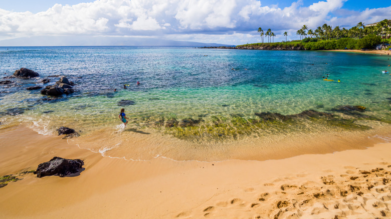 A sunny day at Kapalua Beach on Maui's west side, turquoise waters and a person entering from the golden beach
