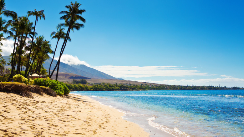 Pale sands and azure waters of Kāʻanapali Beach on Maui with palms trees above the shore