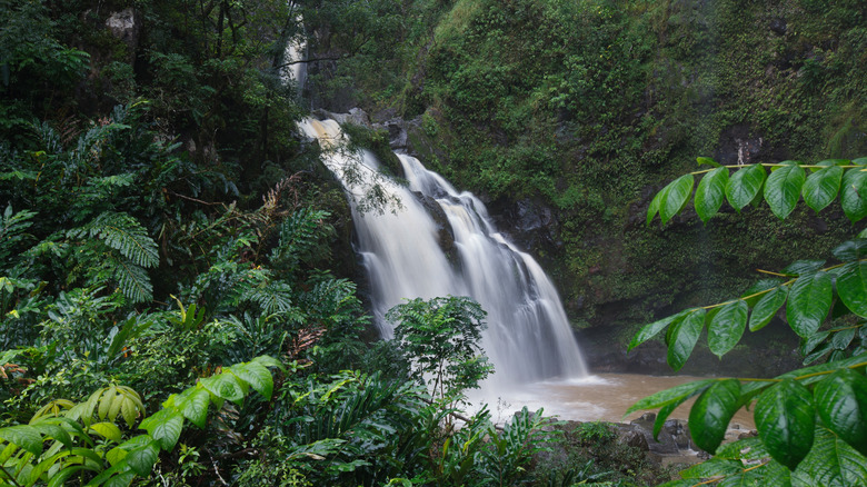 The Hanawi falls on the road to Hāna.