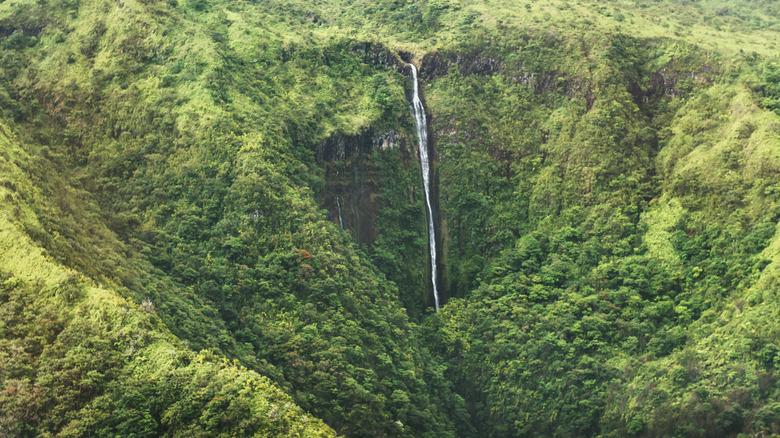 The narrow cascading Honokohau waterfall on Maui, Hawaii.