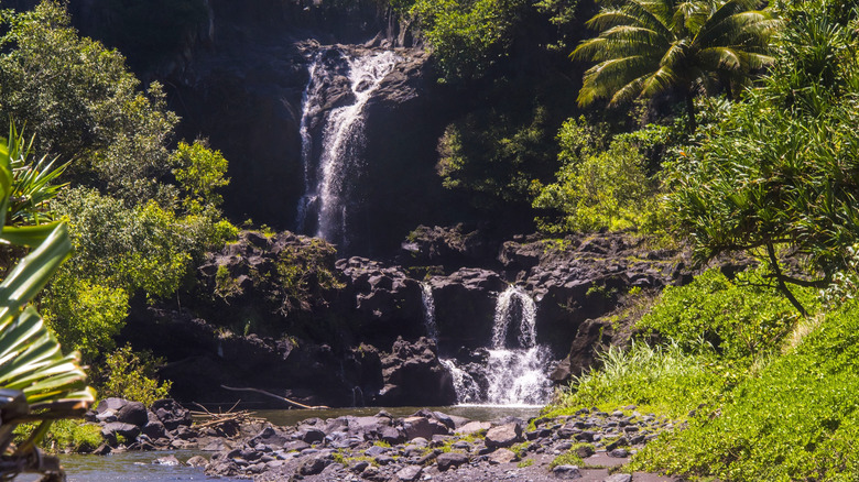 The Pools of 'Ohe'o (AKA Seven Sacred Pools), Maui.