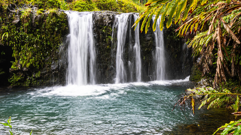 The lower falls in the Pua'a Ka'a State Wayside Park, Maui.