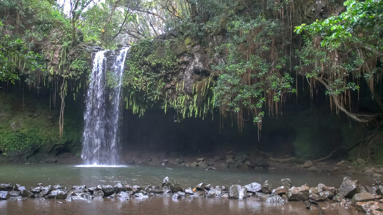 Caveman Falls, the second cascade at Twin falls, Maui.