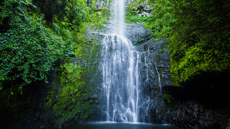 The Wailua Falls on the Hāna Highway in maui.