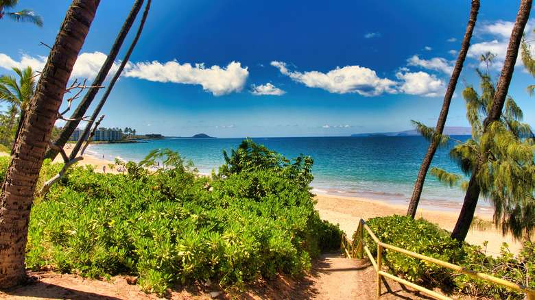 A beach view of Kihei with lush plants lining a shining golden coast along clear blue waters