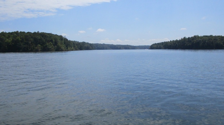 Mayo Lake on a sunny day and forested shoreline in the distance