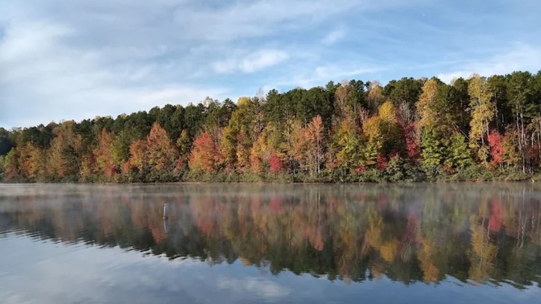 Fall foliage lining Mayo Lake in Mayo Lake Park, North Carolina