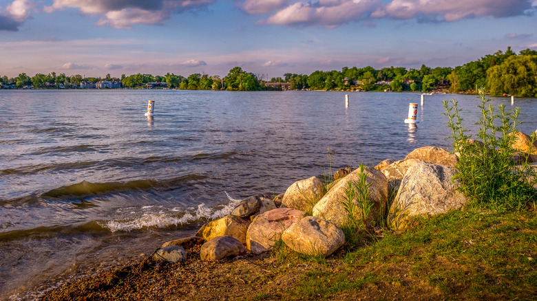 A lakeshore in Minnesota