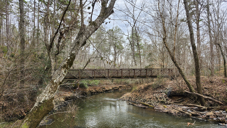 A wooden bridge over a picturesque stream in Medoc Mountain State Park