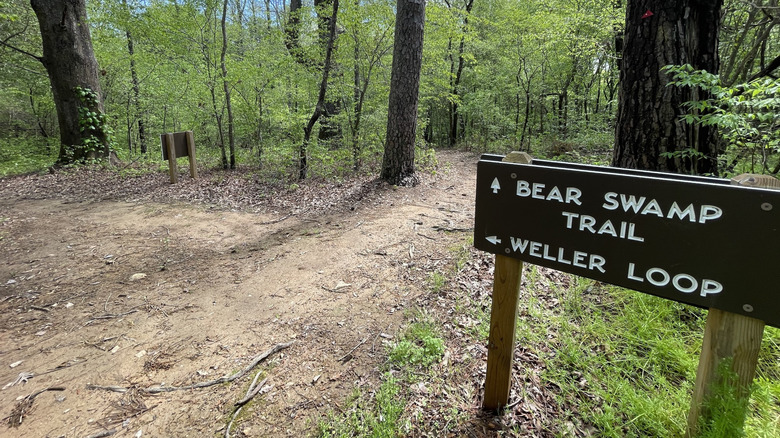 A trail crossroads in Medoc Mountain State Park with a sign directing visitors to Bear Swamp Trail or Weller Loop