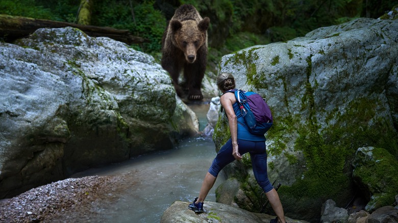 A woman facing off with a bear