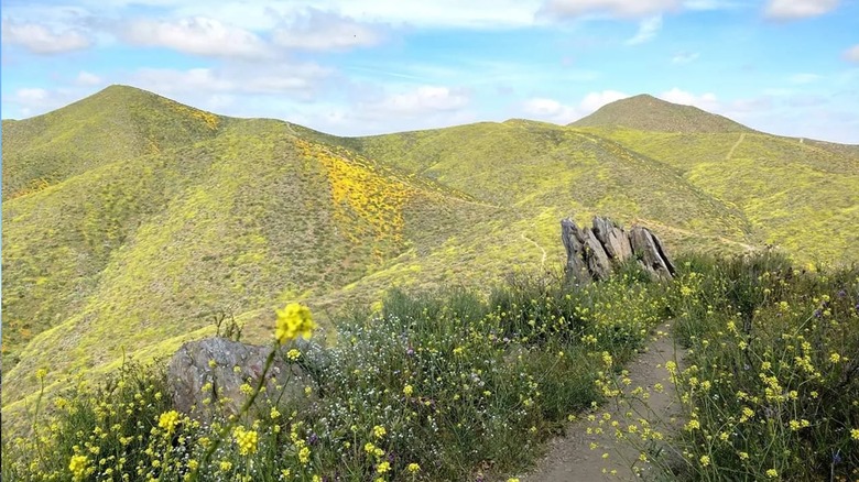 Mountains on the Cross Hike Trail in Menifee, California