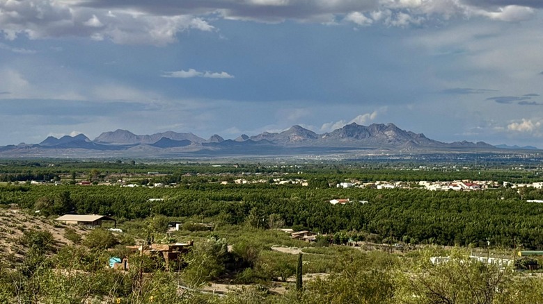 View of the mountains and greenery in the Mesilla Valley