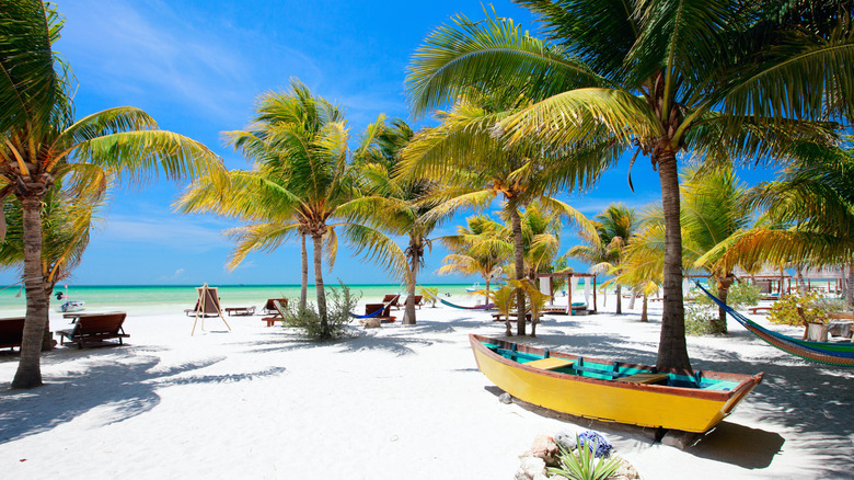 white and beach with palm trees and boat on Isla Holbox
