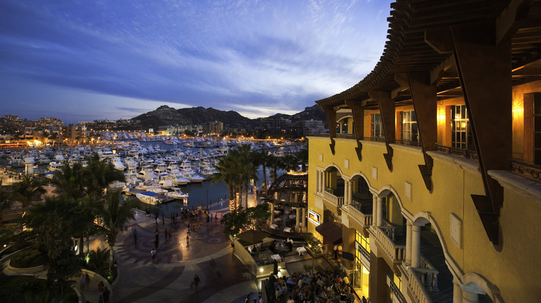 Marina and yachts at night in Cabo San Lucas