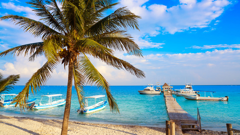 A view onto Puerto Morelos beach past a palm tree gazing out at azure waters and boats waiting to take visitors snorkeling in the coral reefs offshore.