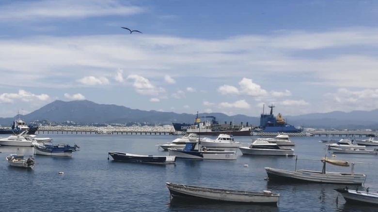 Boats on the water in Manzanillo, Mexico