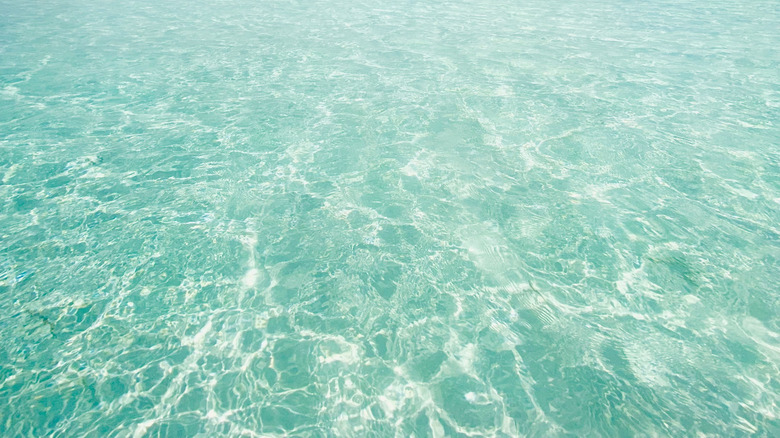 Crystal clear turquoise water in Cozumel.
