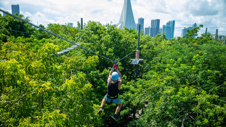 Ziplining in Treetop Trekking Miami