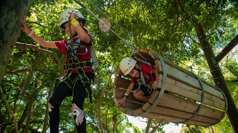 Children completing the Discovery course at Treetop Trek Miami