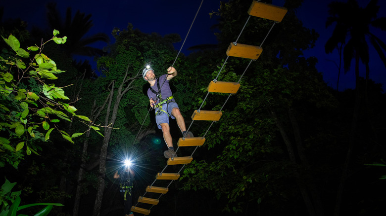 Night trek at Jungle Island