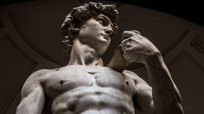 Michelangelo's David on display in Florence