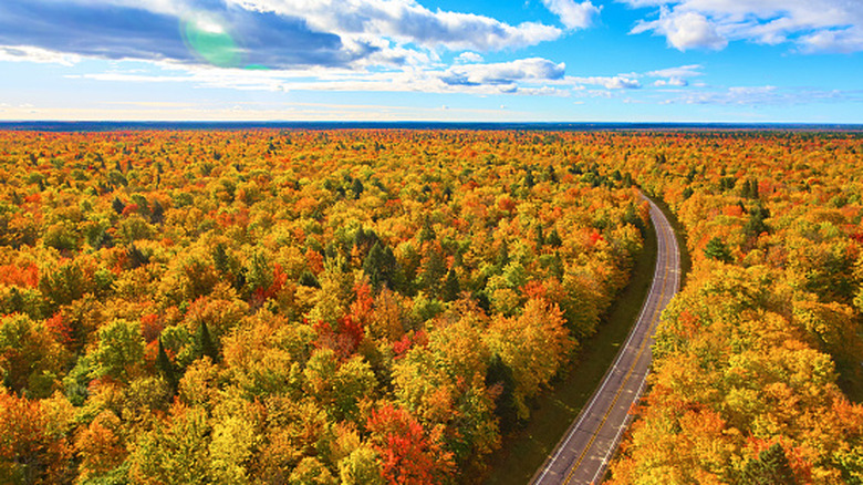 An aerial view of a winding road through a landscape of vibrant Michigan autumn foliage