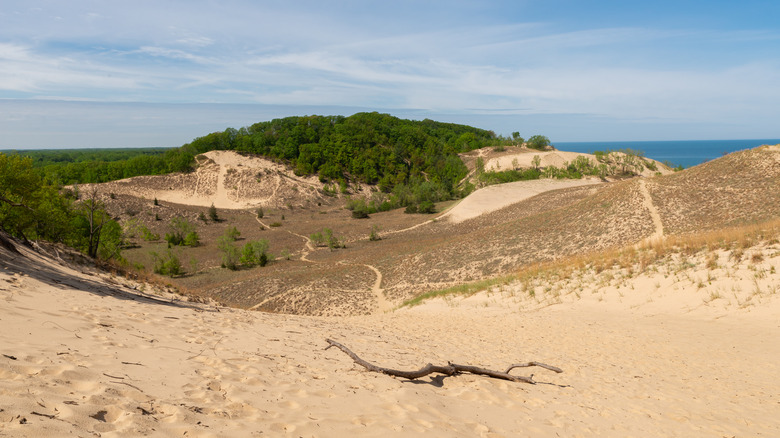 Sand dunes on a sunny morning in Warren Dunes State Park, Michigan