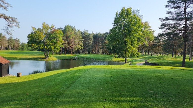The Tamaracks' golfing greens, with a pond and trees