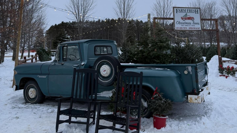 Decorative display of a truck carrying Christmas trees at Dutchman Tree Farms
