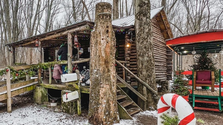 Log cabin decorated for Christmas and surrounded by trees at Peacock Road Family Farm