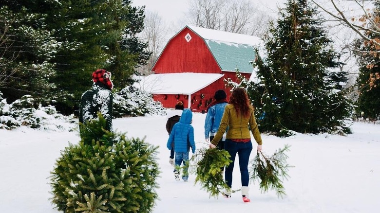 Family walking to a red barn in the snow surrounded by evergeens at Vormittag Tree Farm