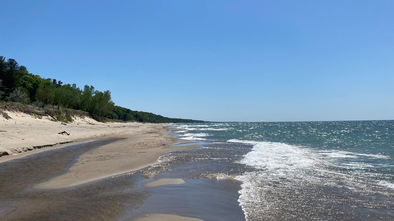 A view of the beach at Warren Dunes State Park
