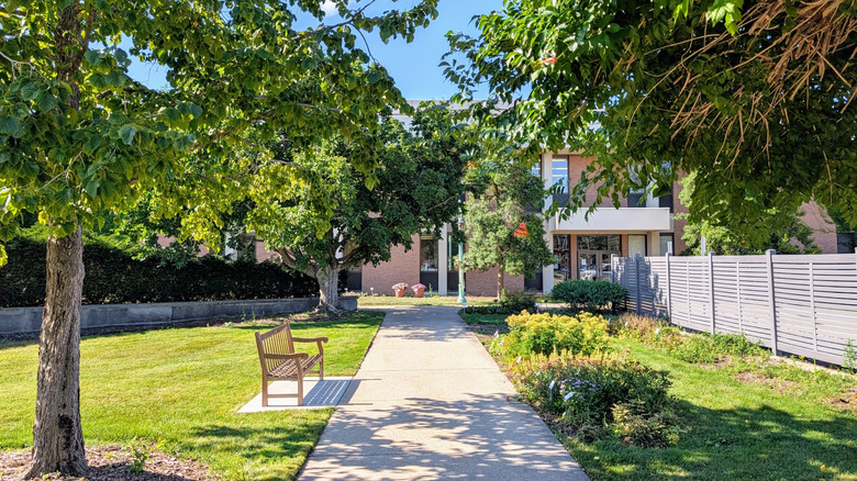 A sidewalk surrounded by trees and other plants, leading to a campus building