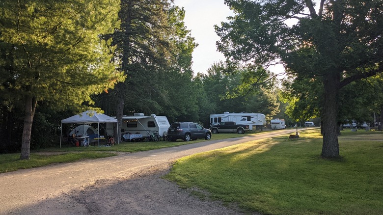 A few campers on the campground road surrounded by trees in the evening light