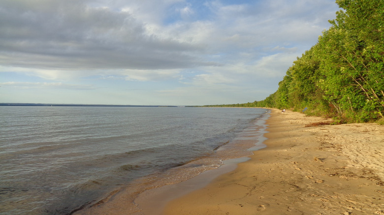 The Lake Superior beach at Brimley State Park with the soft sand, forest behind, and Canada on the horizon
