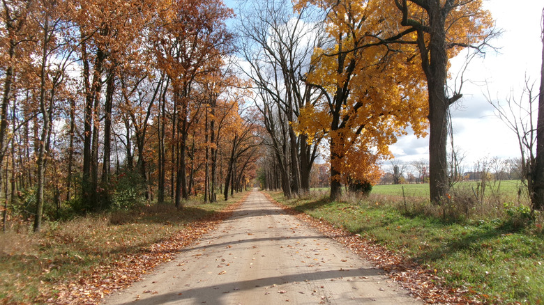 Fall foliage against green fields in Michigan