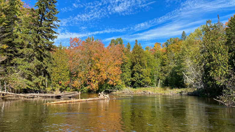 A view of the colorful tree-lined shore from Manistique River on a bright day